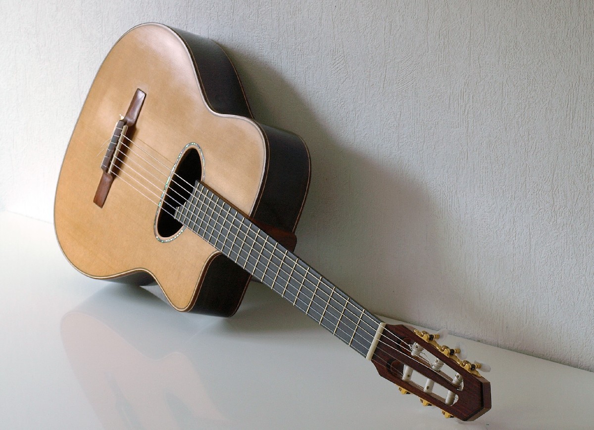 Schaller tuners